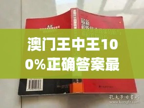 澳门王中王100%正确答案最新章节,系统分析解释定义_FHD版10.220
