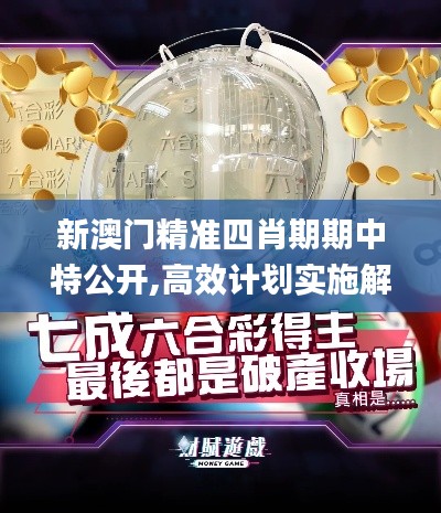 新澳门精准四肖期期中特公开,高效计划实施解析_特供版17.258