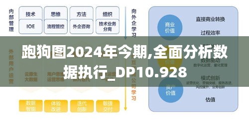 跑狗图2024年今期,全面分析数据执行_DP10.928