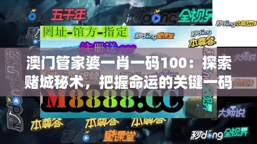 澳门管家婆一肖一码100：探索赌城秘术，把握命运的关键一码