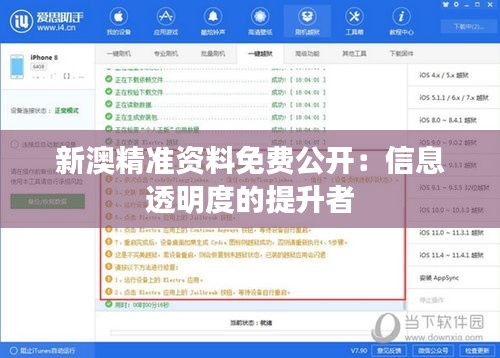新澳精准资料免费公开：信息透明度的提升者