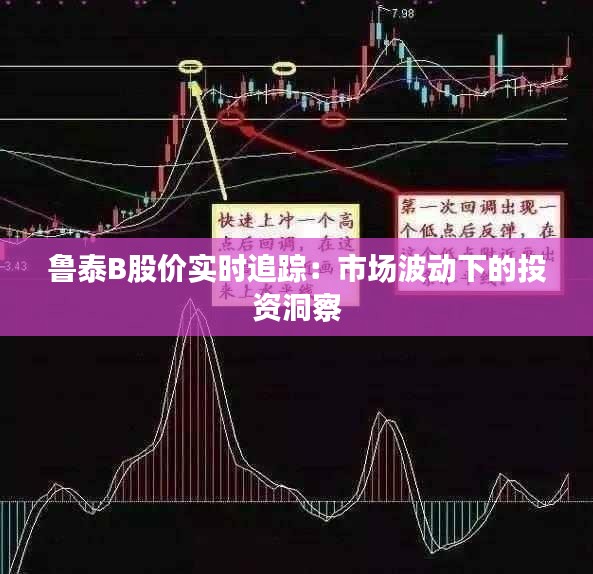 鲁泰B股价实时追踪：市场波动下的投资洞察