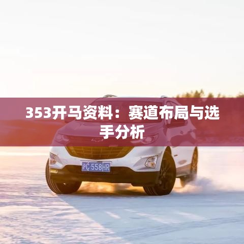353开马资料：赛道布局与选手分析