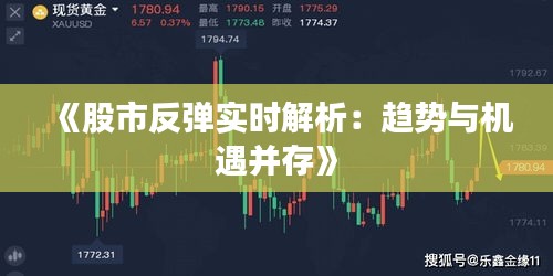 《股市反弹实时解析：趋势与机遇并存》