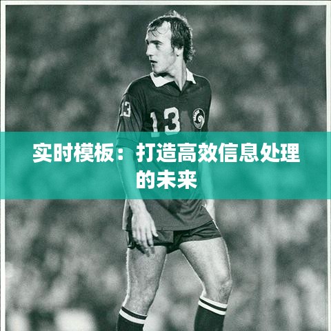 望其项背 第4页