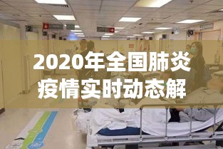 2020年全国肺炎疫情实时动态解析