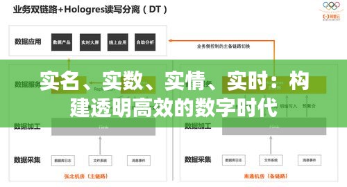 实名、实数、实情、实时：构建透明高效的数字时代