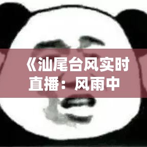 《汕尾台风实时直播：风雨中的坚守与守护》