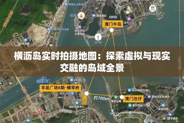 百鸟齐鸣 第4页