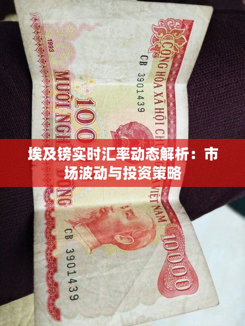 埃及镑实时汇率动态解析：市场波动与投资策略