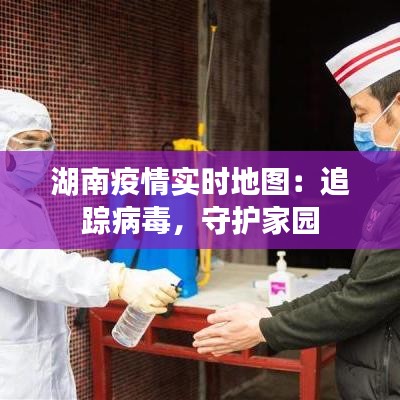 湖南疫情实时地图：追踪病毒，守护家园