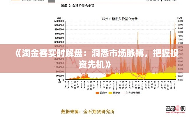 《淘金客实时解盘：洞悉市场脉搏，把握投资先机》
