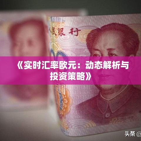 《实时汇率欧元：动态解析与投资策略》