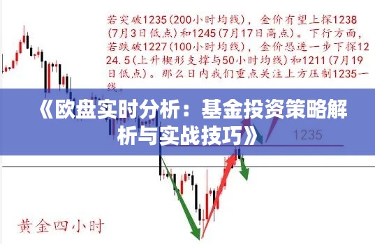 《欧盘实时分析：基金投资策略解析与实战技巧》