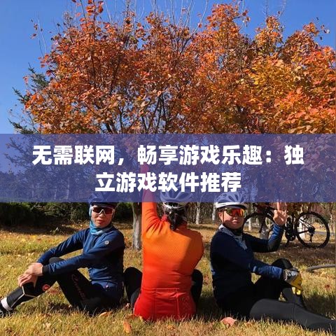 无需联网，畅享游戏乐趣：独立游戏软件推荐