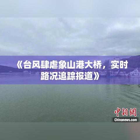 敷衍了事 第4页