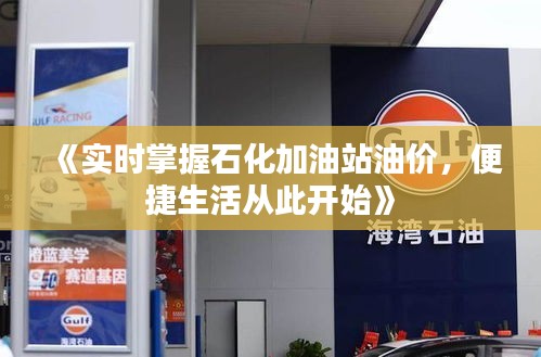《实时掌握石化加油站油价，便捷生活从此开始》