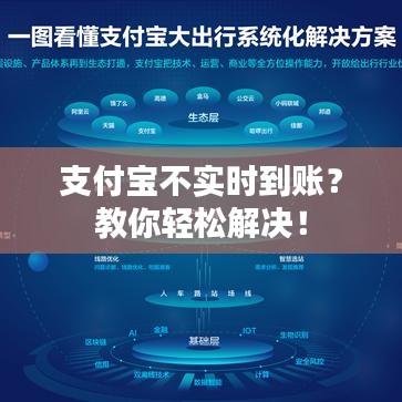 支付宝不实时到账?教你轻松解决!