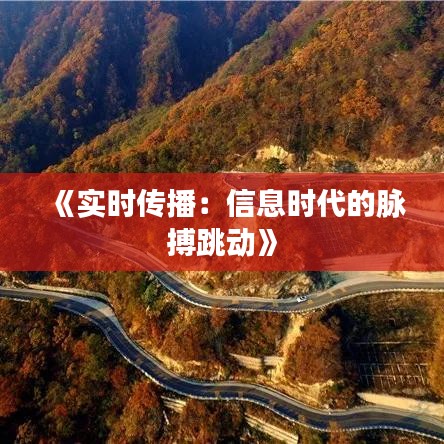 《实时传播：信息时代的脉搏跳动》