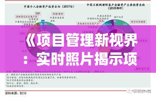 《项目管理新视界：实时照片揭示项目进展》