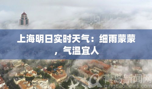 尖嘴猴腮 第3页