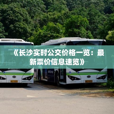 《长沙实时公交价格一览：最新票价信息速览》