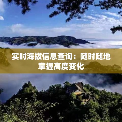 实时海拔信息查询：随时随地掌握高度变化