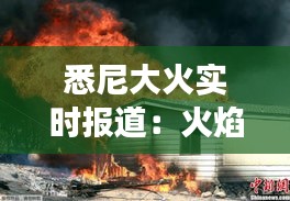悉尼大火实时报道：火焰肆虐，紧急救援行动展开
