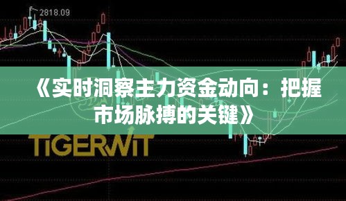 《实时洞察主力资金动向：把握市场脉搏的关键》