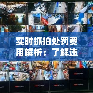 实时抓拍处罚费用解析：了解违法成本