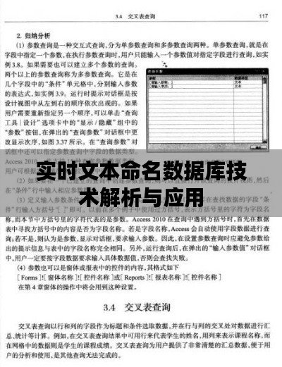 实时文本命名数据库技术解析与应用