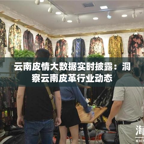 云南皮情大数据实时披露：洞察云南皮革行业动态