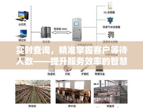 实时查询，精准掌握客户等待人数——提升服务效率的智慧之选
