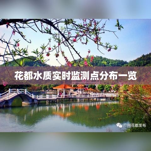 臼灶生蛙 第3页