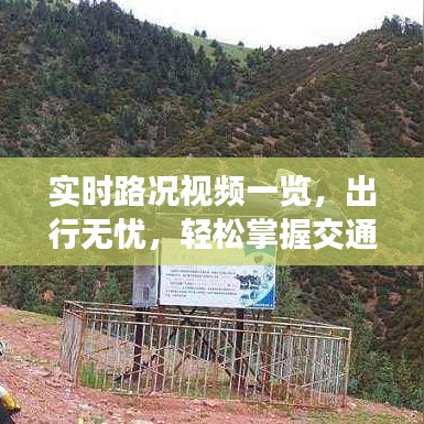 饭来张口 第3页