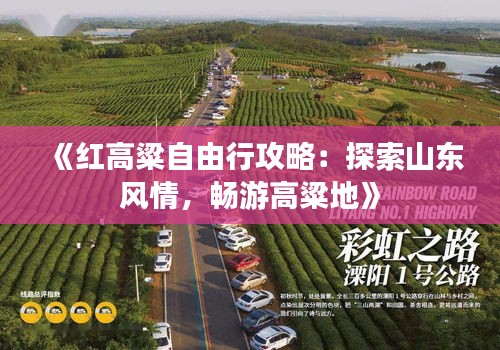 《红高粱自由行攻略：探索山东风情，畅游高粱地》