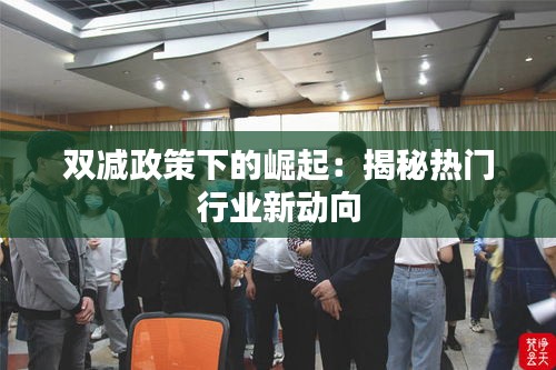 双减政策下的崛起：揭秘热门行业新动向