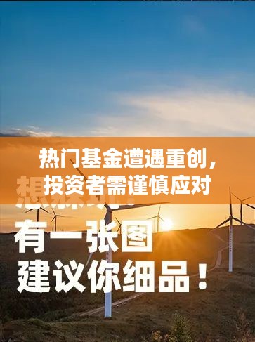 热门基金遭遇重创，投资者需谨慎应对