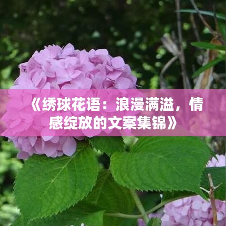 省吃细用 第4页
