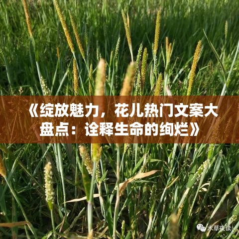 《绽放魅力，花儿热门文案大盘点：诠释生命的绚烂》
