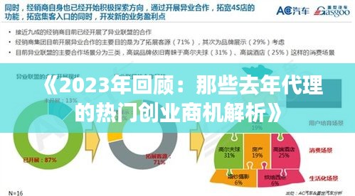 《2023年回顾：那些去年代理的热门创业商机解析》