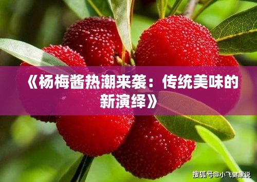 《杨梅酱热潮来袭：传统美味的新演绎》