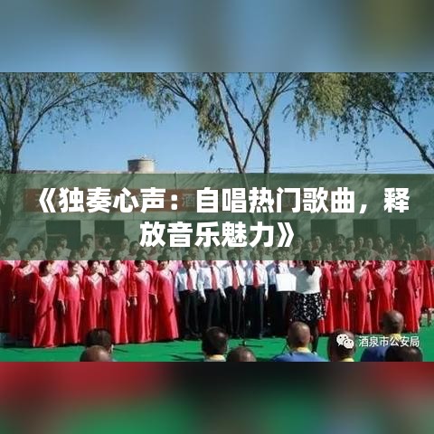 《独奏心声：自唱热门歌曲，释放音乐魅力》