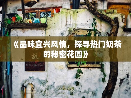 《品味宜兴风情，探寻热门奶茶的秘密花园》