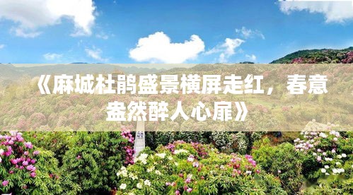 《麻城杜鹃盛景横屏走红，春意盎然醉人心扉》