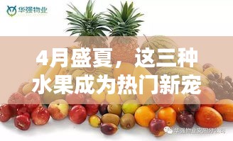 4月盛夏，这三种水果成为热门新宠！