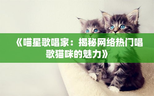 《喵星歌唱家：揭秘网络热门唱歌猫咪的魅力》
