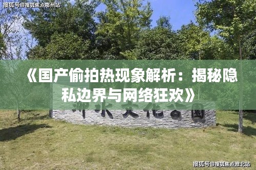 《国产偷拍热现象解析：揭秘隐私边界与网络狂欢》
