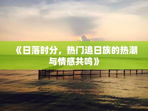 《日落时分，热门追日族的热潮与情感共鸣》