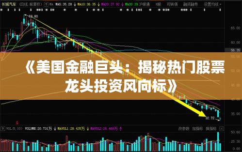 《美国金融巨头：揭秘热门股票龙头投资风向标》